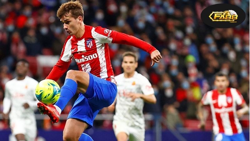 Cá cược thể thao uy tín FA88 - Đặt cược an toàn, thắng lớn 3 Tìm hiểu về cá cược thể thao